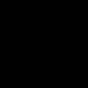 Meet your Posher, Alviery